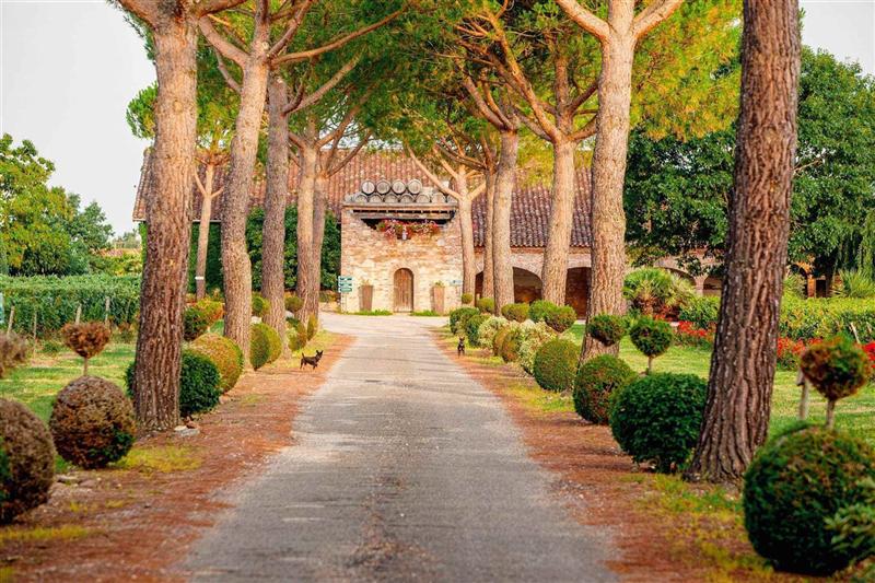 Château Saint Louis · le domaine et les vignes