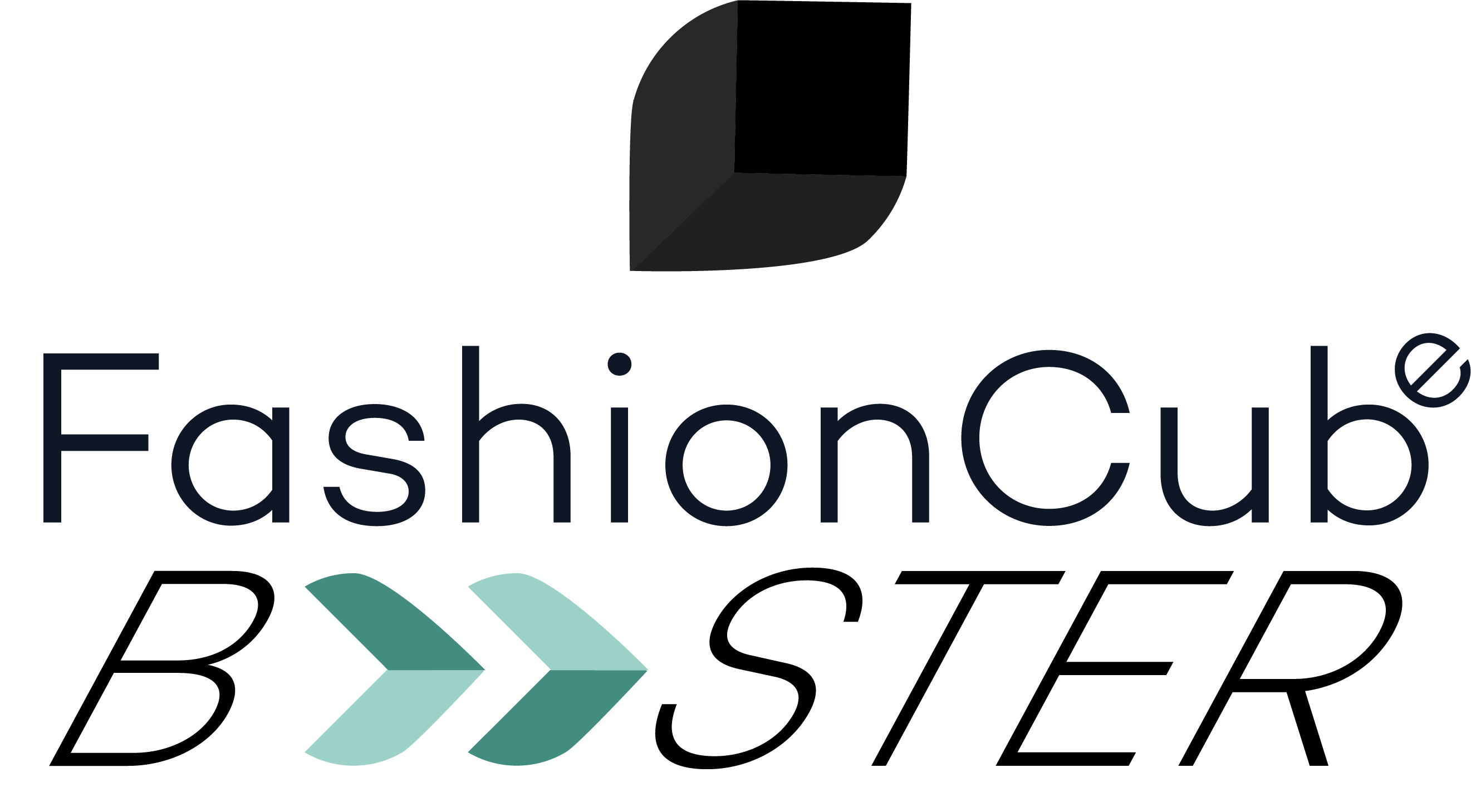 Fashion Cube (Groupe Mulliez)